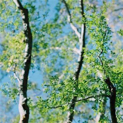 能让人心情阳光的头像(14张)