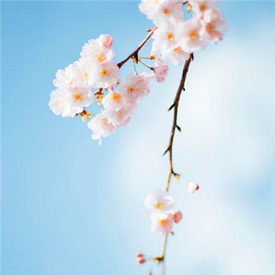 2023增强运气的微信头像男(精选21张)