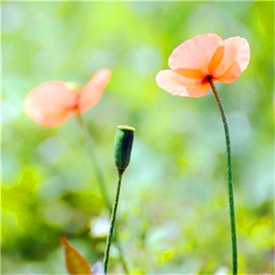 2023增强运气的微信头像男(精选21张)