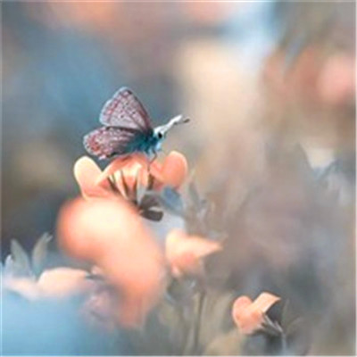 2023增强运气的微信头像男(精选21张)