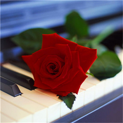 2023年提升运气的微信头像(24张)