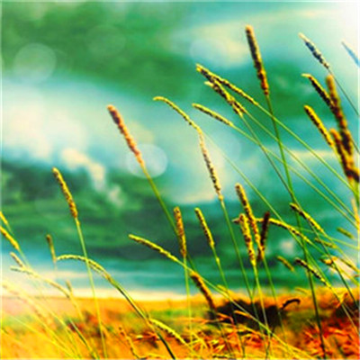 2023年提升运气的微信头像(24张)