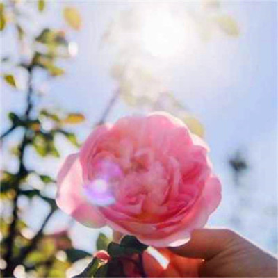 2023年提升运气的微信头像(24张)