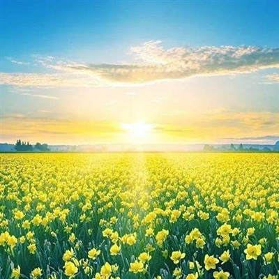 提升运气的微信头像图片不分男女(精选22张)