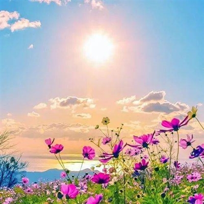 提升运气的微信头像图片不分男女(精选22张)