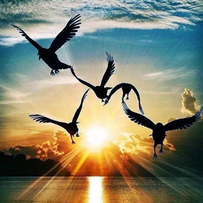 提升运气的微信头像图片不分男女(精选22张)