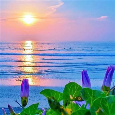 提升运气的微信头像图片不分男女(精选22张)