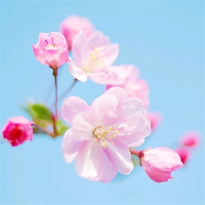 提升运气的微信头像图片不分男女(精选22张)