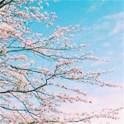 2023年提升运气的微信头像图片(24张)