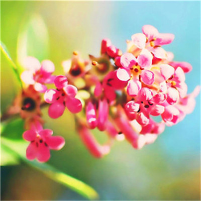 2023年提升运气的微信头像图片(24张)