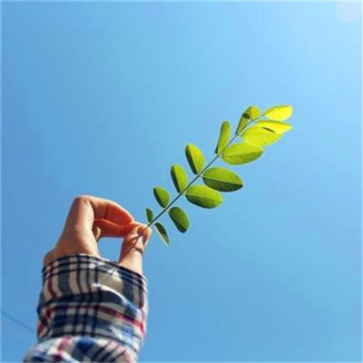 2023年提升运气的微信头像图片(24张)