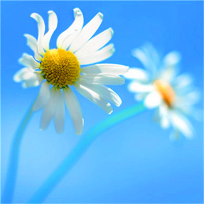 2023年提升运气的微信头像图片(24张)