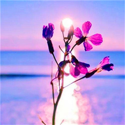 2023年提升运气的微信头像图片(24张)