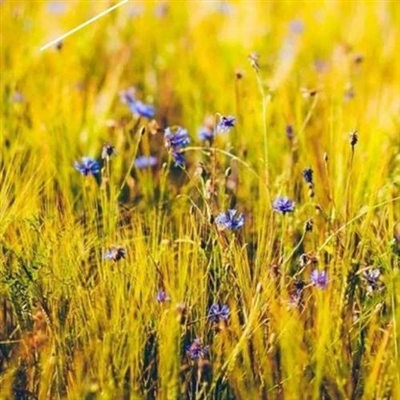 运气越来越好的微信头像男(21张)