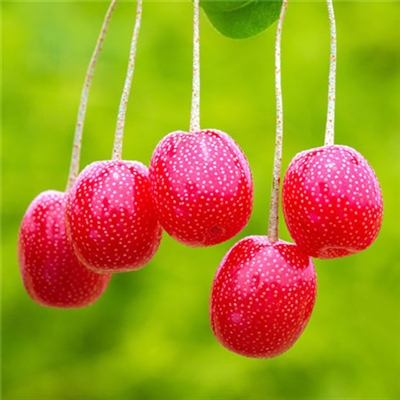 充满阳光的图片头像(24张)