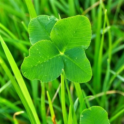 充满阳光的图片头像(24张)