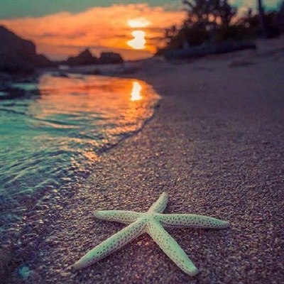 充满阳光的图片头像(24张)