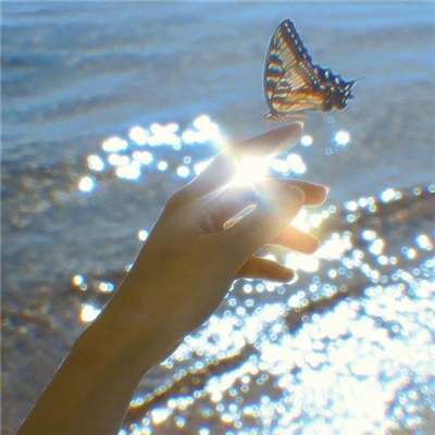 充满阳光的图片头像(24张)