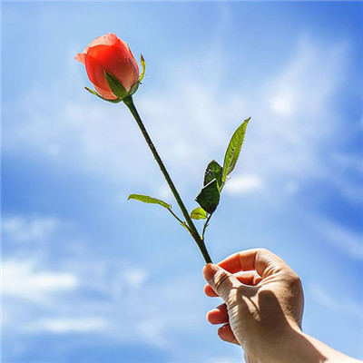 有品位的微信头像阳光女(18张)