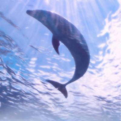 又简单又好看的头像(精选21张)