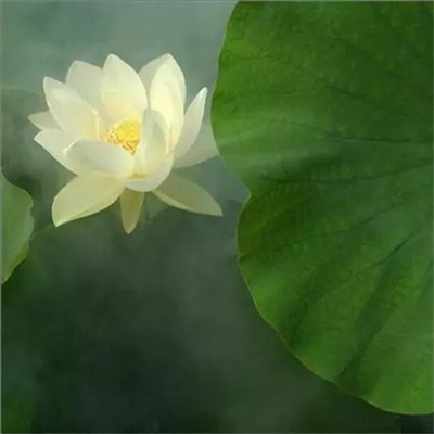 好看又独特的头像(精选24张)