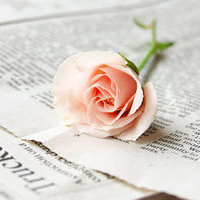 清新淡雅气质头像(24张)