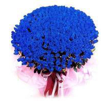 清新淡雅气质头像(24张)