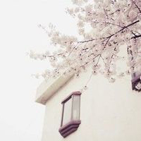 清新淡雅气质头像(24张)