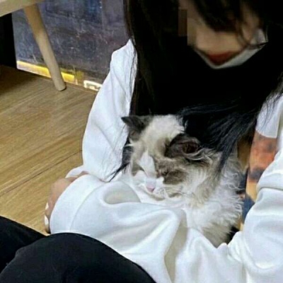 女生可爱微信头像萌萌哒(24张)