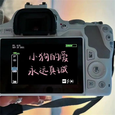 知性优雅微信头像(24张)