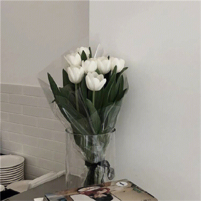 微信头像简约个性头像(27张)