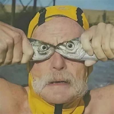 适合憨憨的头像(精选18张)