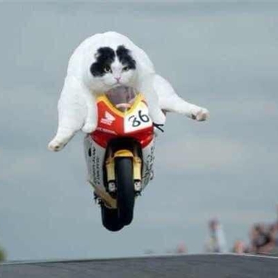 适合憨憨的头像(精选18张)