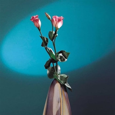 让人不想换掉的头像(精选24张)