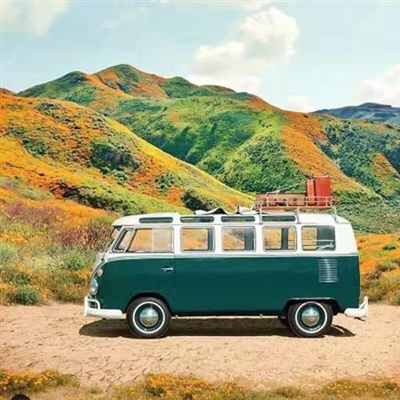 让人不想换掉的头像(精选24张)