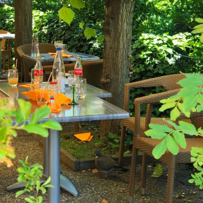 2023超好看的背景图片头像(精选26张)