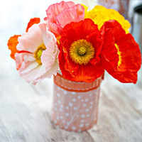 花图片大全鲜花风景图片头像(精选18张)