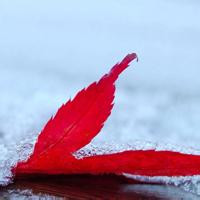 qq空间风景头像图片(精选18张)