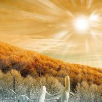 qq空间风景头像图片(精选18张)