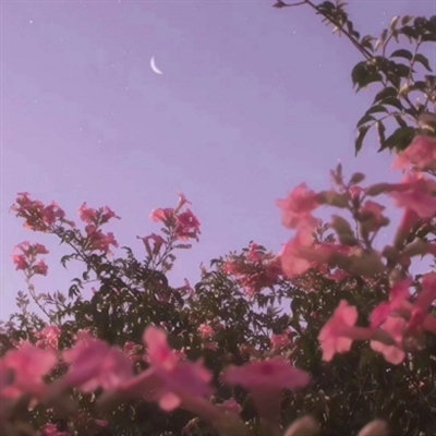 夜晚星空风景图片头像大全(24张)