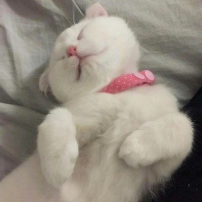 超萌可爱微信情侣头像(20张)