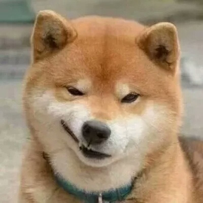 一猫一狗萌萌哒情侣头像(精选24张)