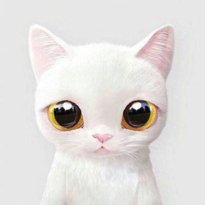 一猫一狗萌萌哒情侣头像(精选24张)