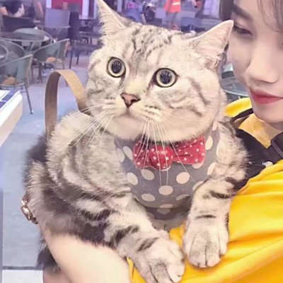 一男一女带宠物的情侣头像(精选22张)