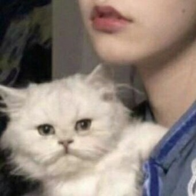 一男一女带宠物的情侣头像(精选22张)