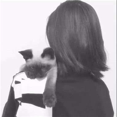 一男一女带宠物的情侣头像(精选22张)