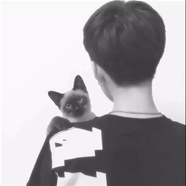 一男一女带宠物的情侣头像(精选22张)