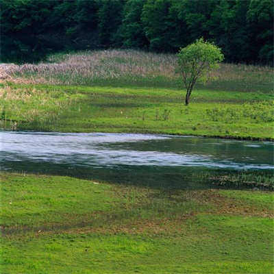 最吉利的山水微信头像(24张)