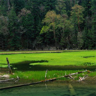 最吉利的山水微信头像(24张)