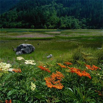 最吉利的山水微信头像(24张)